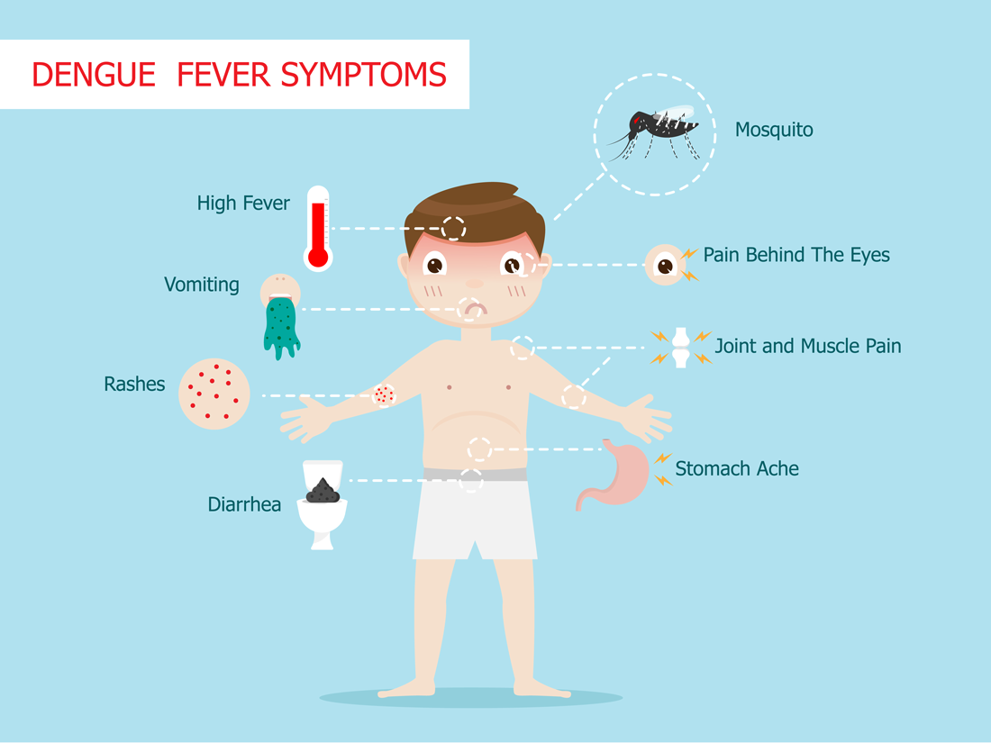 Dengue Fever 